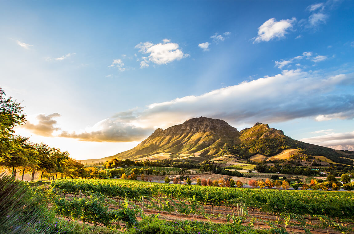 Why Stellenbosch ranks in the Top 100 most loved destinations in the world