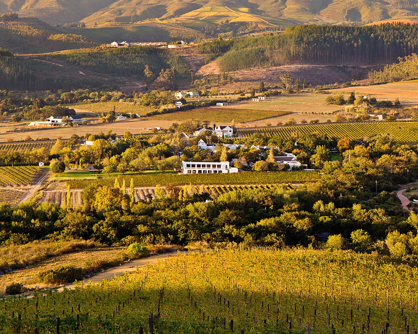Lanzerac like you’ve never seen it before