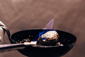 Hollandse Pepper Fillet Flambe Hollandse Pepper Fillet Flambe