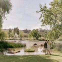 Spier Wine Farm Picnics